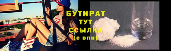индика Бронницы