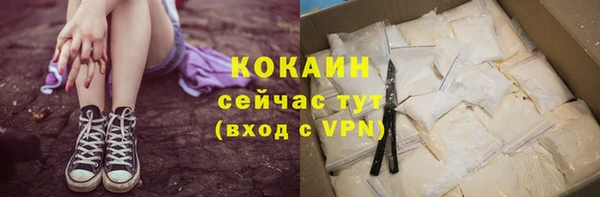индика Бронницы