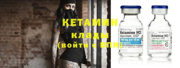 индика Бронницы