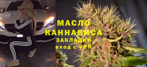индика Бронницы