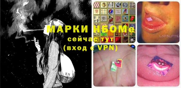 индика Бронницы
