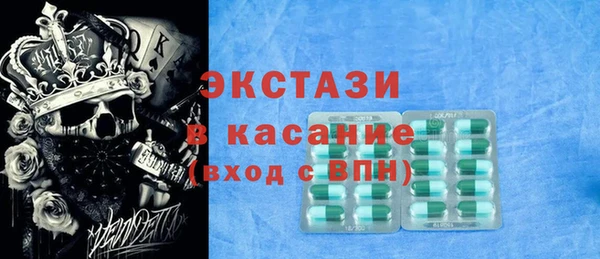 индика Бронницы