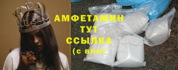 индика Бронницы