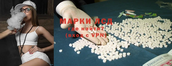 индика Бронницы
